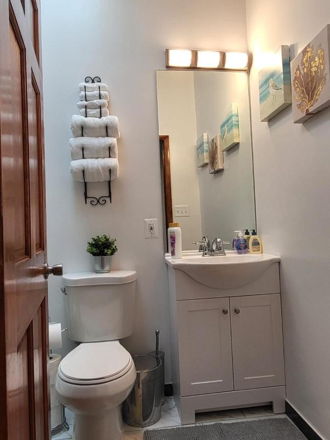 Reservoir Hill Mansion - 4 bedrooms Baltimore Extérieur photo